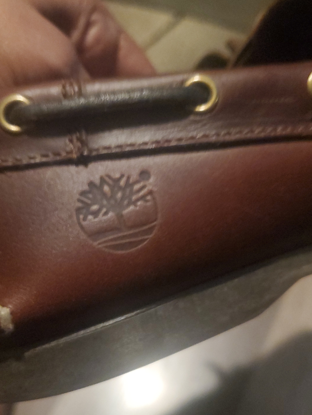 Timberland - Picture 10 of 16